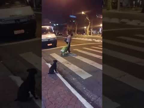 When the dog is more civilized than the human