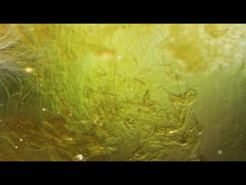 L'ascolto che ci unisce - Studio Biblico del 1 aprile 2020