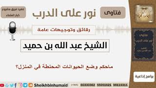 صورة ماحكم وضع الحيوانات المحنطة في المنزل؟ الشيخ بن حميد - مشروع كبار العلماء