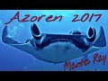 Manta Ray - Teufelsrochen - Azoren Santa Maria 2017, Azoren Wahoo Diving Santa Maria, Azoren - Santa Maria, Portugal, Azoren