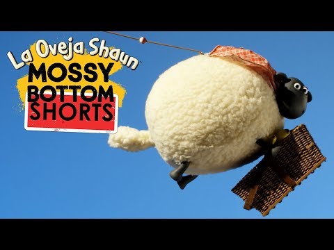 Picnic - Mossy Bottom Shorts - La Oveja Shaun