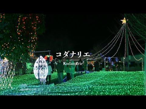 【4K】約20万球の想いが灯る夜「2025コダナリエ」【宮城県山元町】