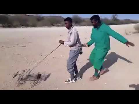 THE BEST AFRICA KIKI CHALLENGE