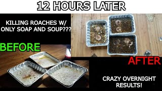 We killed OVER 1,000 Cockroaches OVERNIGHT using only Soup and Soap ! w Results !