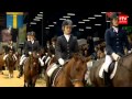 Wereldrecord dressuurles voor Adelinde Cornelissen