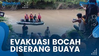Bocah yang Diserang Buaya di Batang Masang Agam Berhasil Ditemukan