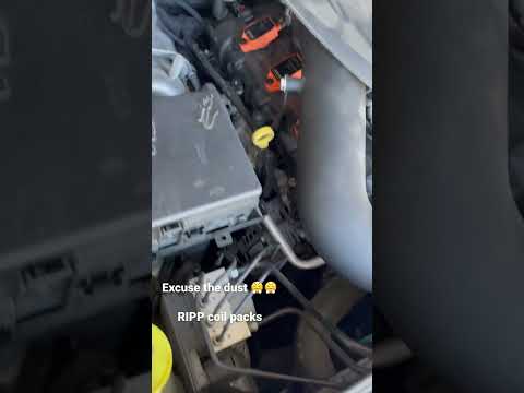 RIPP Coil packs, NGK laser iridium spark plugs, Spectre cold air intake