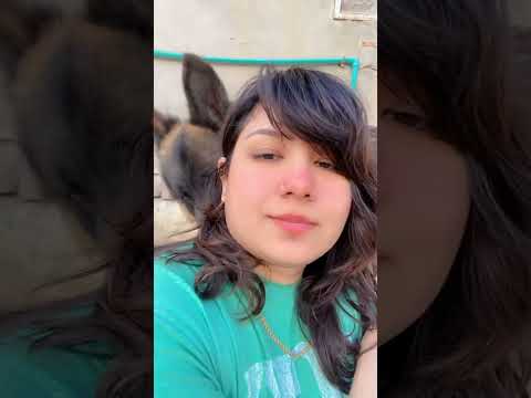 #germanshepherd #yt #comedyvideos #dog #doglover #viralvideo #funny #shortvideos #funnyshorts #comed