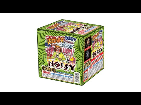 FB2086 12 Shot Noisy