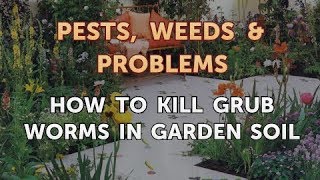 How to Kill Grub Worms in Garden Soil