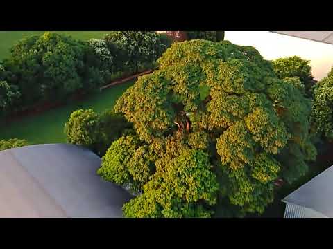 paiçandu Paraná vídeo com drone