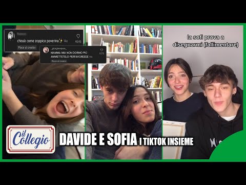 I TIKTOK INSIEME DI DAVIDE VAVALA' E SOFIA CERIO!