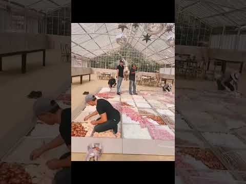 Have you ever seen a dance floor filled with flowers?! 🌸🌻🌹