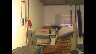 Potato cutting machine , french fries machine