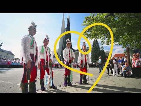 Náhled pro video reference