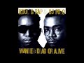 Kool G Rap DJ Polo Streets Of New York