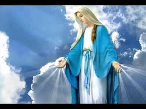 HINO 25 SANTO CRUZEIRO