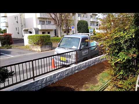 フォティニアレッドロビンを地下水やりのポットで維持する方法