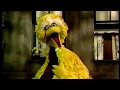 Sesame Street Everybody Ought To Know