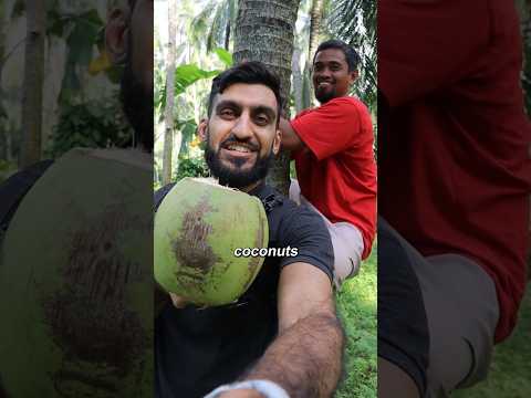 Let's Try a COCONUT in Indonesia