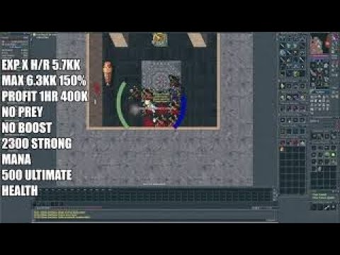 HUNT MIRROR EK SOLO LVL 400+ EXP X/H 5.7KKK MAX 6.3KK X/H