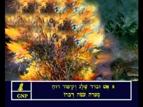 Psalms 148 Hebrew Picture Bible