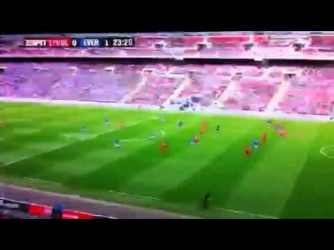 Nikica Jelavic goal against Liverpool (HD)