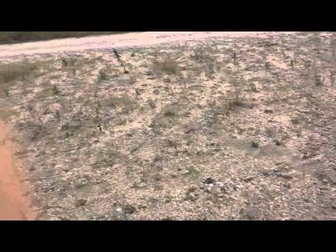 Nebunie a la Hotarani...by Hayduku