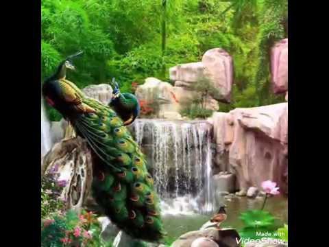 chaitranige swagatha