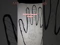 Beautiful Mehandi Designs By Muskan Agarwal
