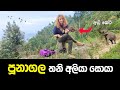 මිනීමරු තනියා සොයා අලි ගඳ දිගේ පුනාගල�