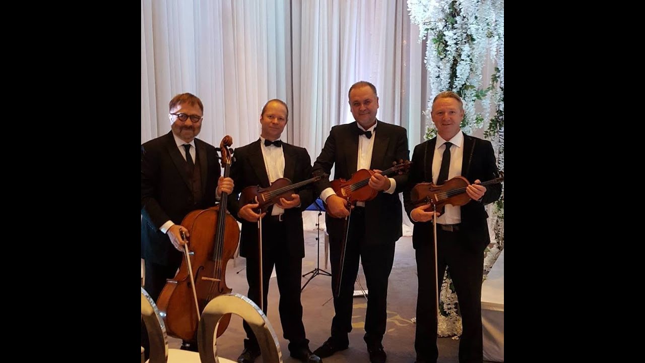 Promotional video thumbnail 7 for Aurora Quartet