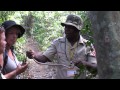 Madagascar 2011 Part 3