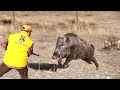 TOP 100 KILLING BLOWS! Best Wild Boar Hunts Compilation -SPECIAL SERIES-4