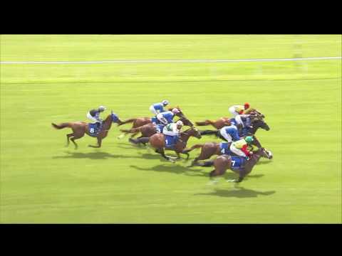 Newbury 15th June DIAR EEF 3 yr old Prep