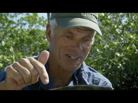 Monstros do Rio (cabeça de navalha)..... Jeremy Wade.