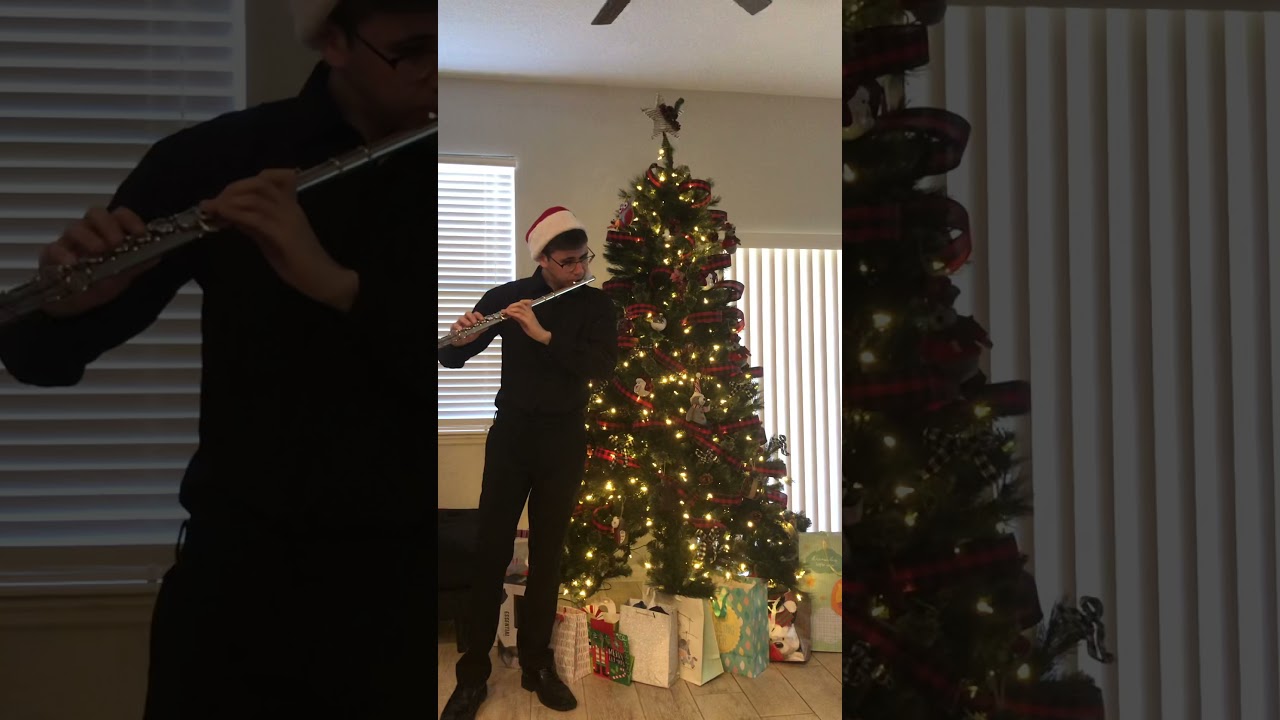 Promotional video thumbnail 4 for Pedro Mujica- Flutist