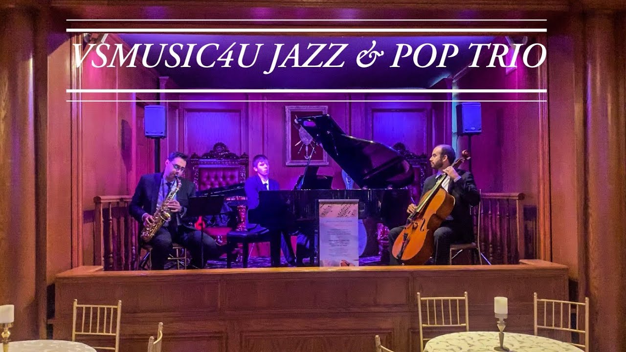 Promotional video thumbnail 52 for VSmusic4u Wedding & Event Musicians