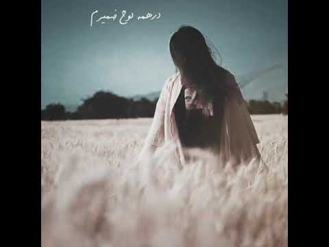 dj phellix deeper_06 video in iran by mavicmini dji