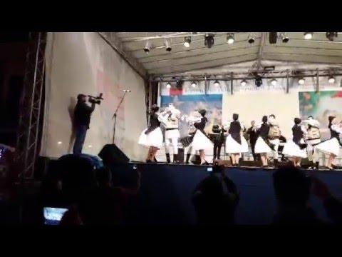 Dans Ansamblul Silvana