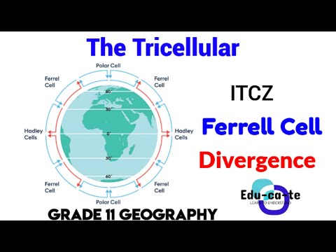 Tricellular  - Grade 11 Geography
