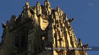 The Renovations of Notre-Dame | The Age of Cathedrals with R. Howard Bloch