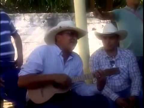 jorge guerrero 2015 nuevo