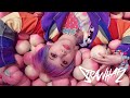 Strawhatz Uncle Robz Theme Featuring Haruka Kurebayashi Official Music Video
