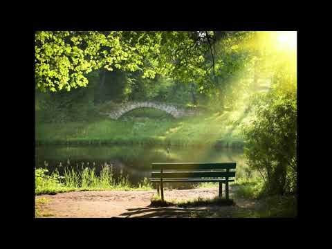 40 Tage "Zeit für Bewusst Sein" - Tag 6: "Ich bin verantwortlich für das, was ich sehe."