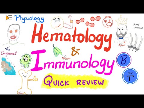 Review of Blood Physiology and the Immune System (Immunology and Hematology)