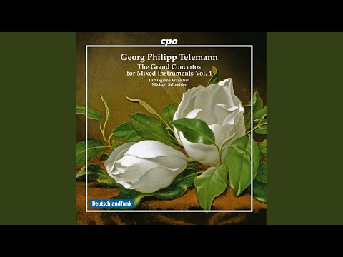 Concerto for Oboe & Violin in C Minor, TWV 52:c1: II. Allegro