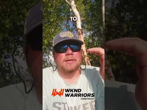 Bite windows are ? no matter where you are! #fishing #podcast #bakersnarrowslodge