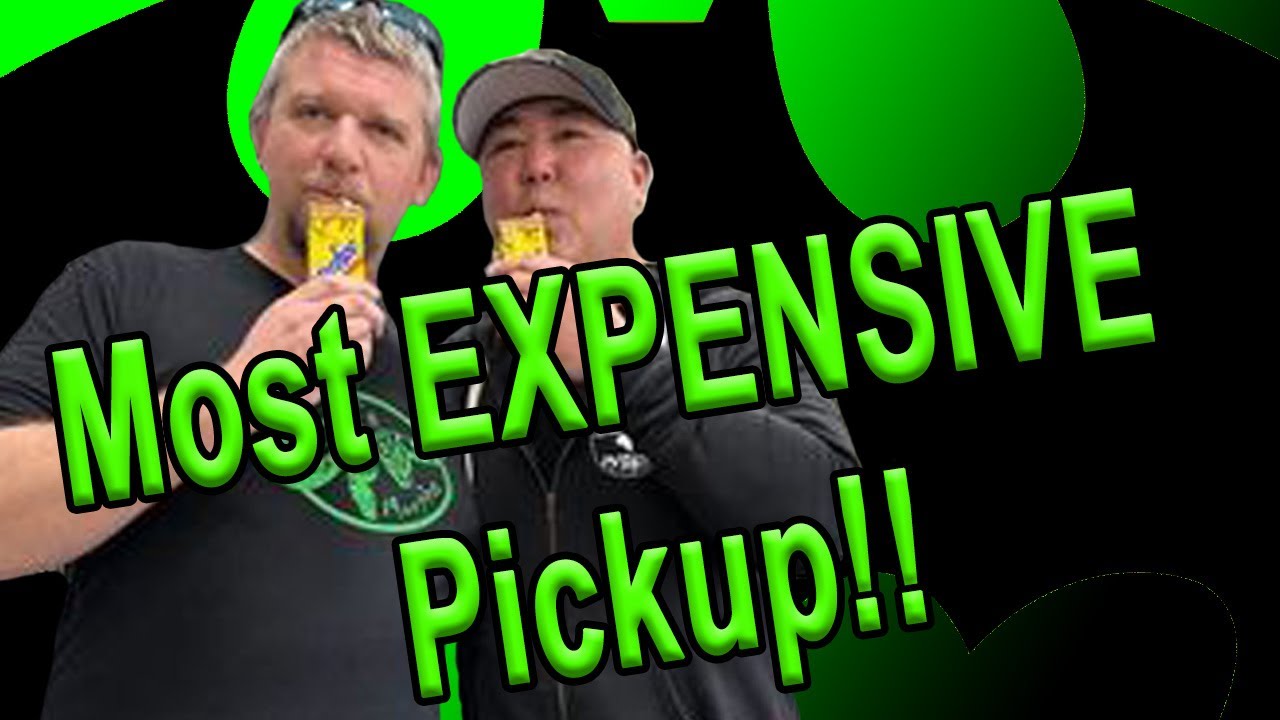 Most Expensive Ball Python Pickup!