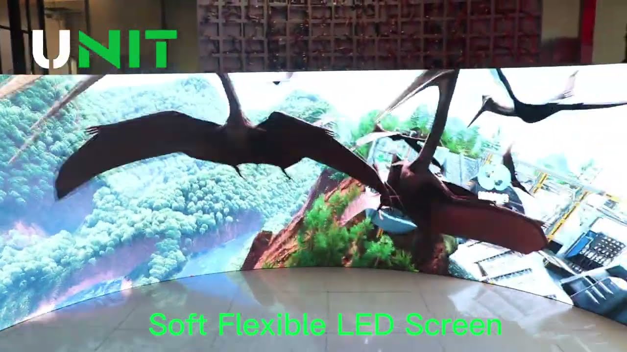 Immersive LED Display